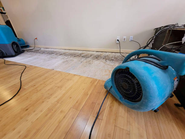 Professional Water Damage Repair technician working in Red Lion, PA